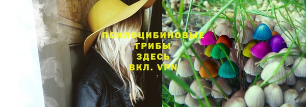 СК Абинск