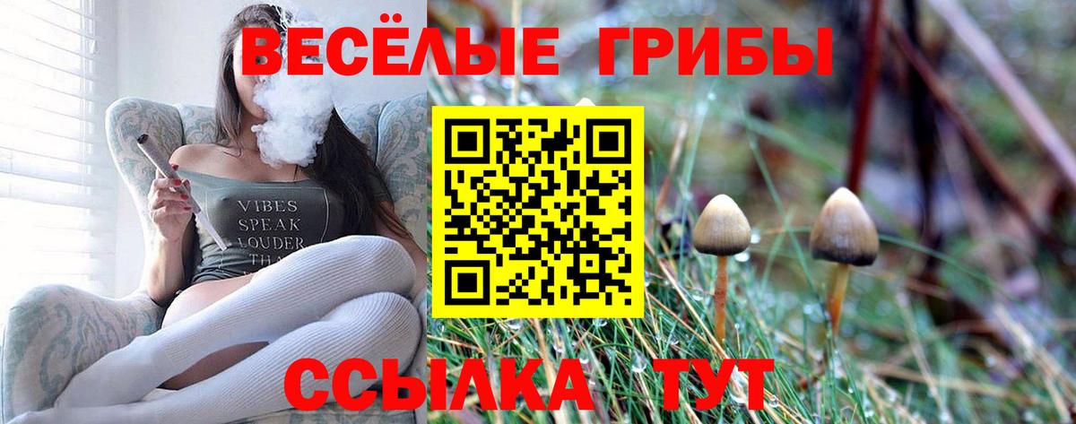 Псилоцибиновые грибы Psilocybe  Галлюциногенные грибы мухоморы  Вход с VPN  Советск 